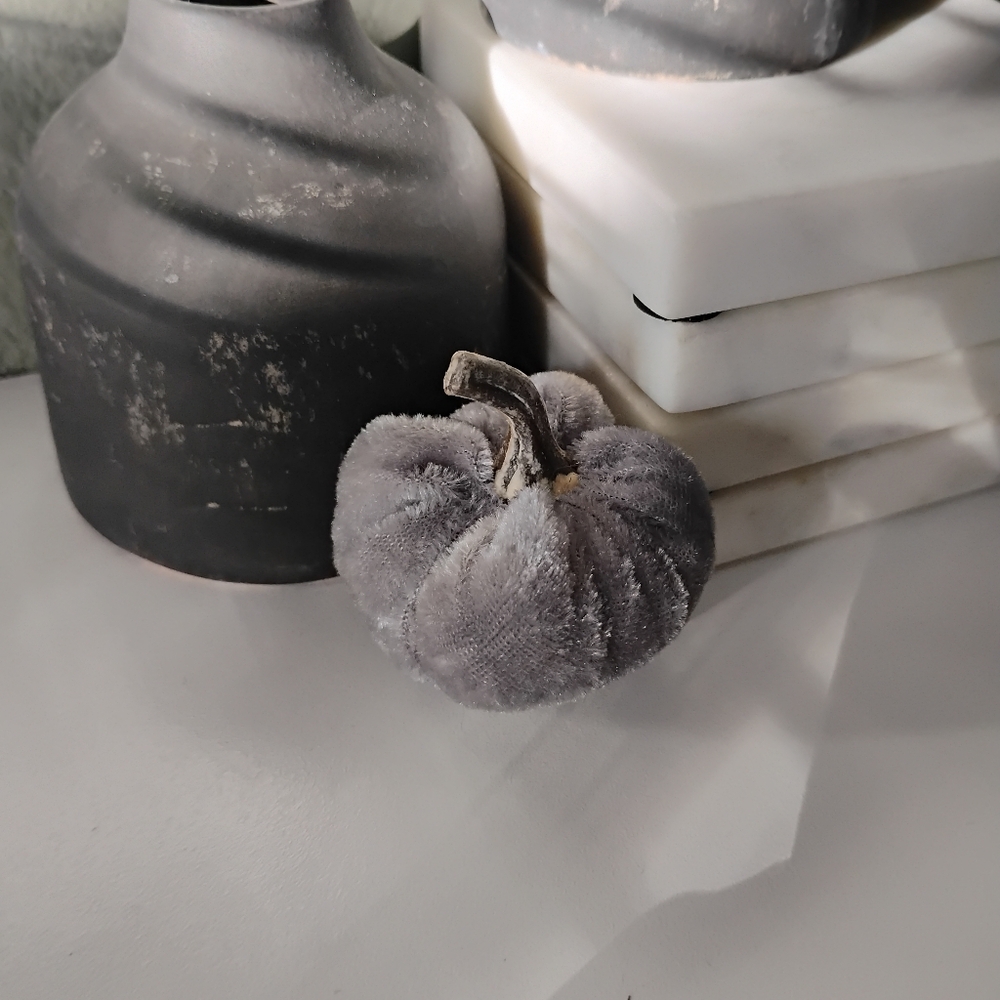 3/$5 gray velvet pumpkin.